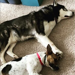 Meet your Posher, Valeria